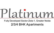 Ace Platinum greater Noida