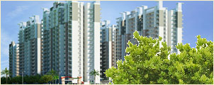 Ace Platinum Greater Noida